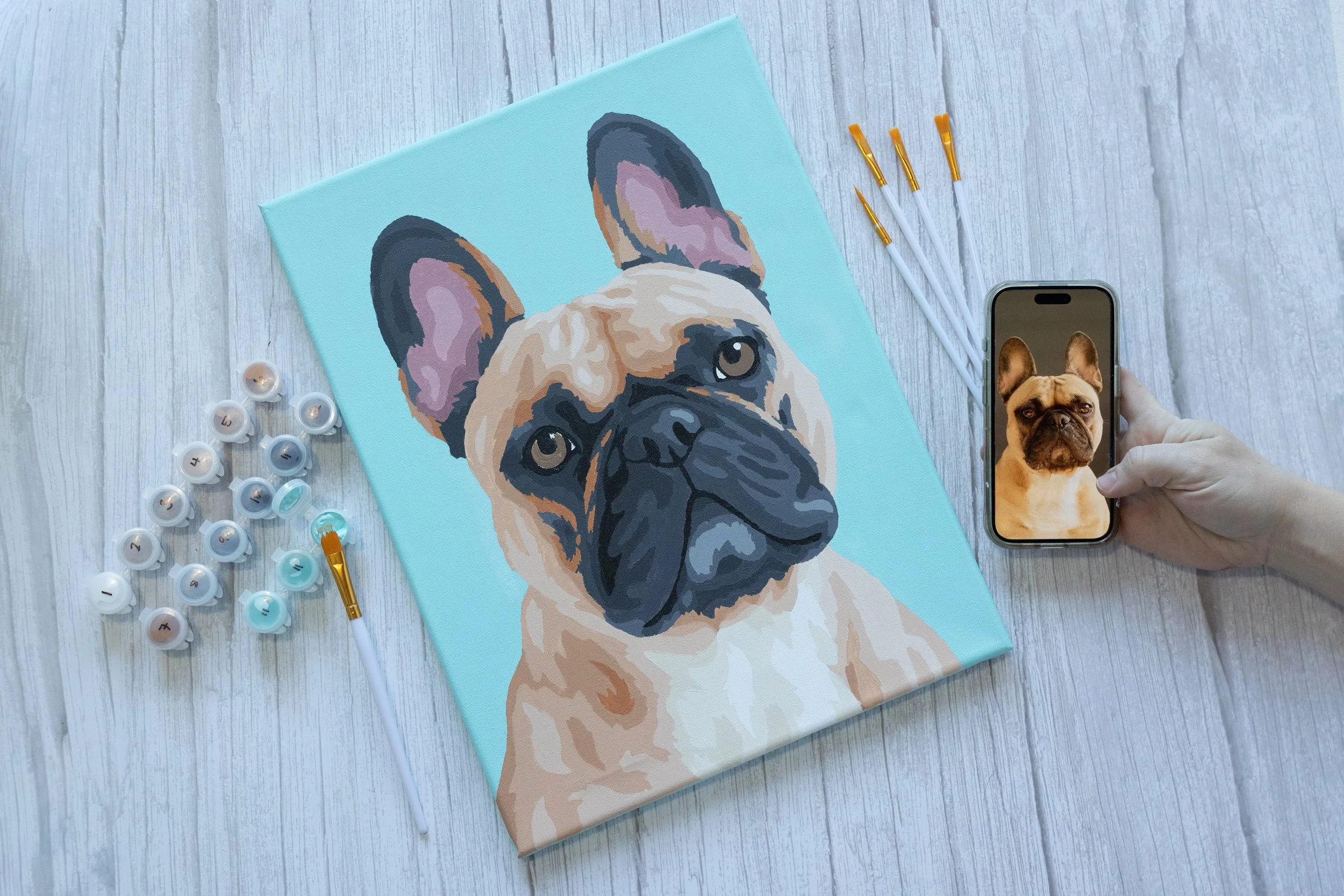 Paint Your Pet by Number — GRAY DUCK ART